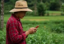 Internet para zonas rurales: las mejores opciones | Blog Movistar